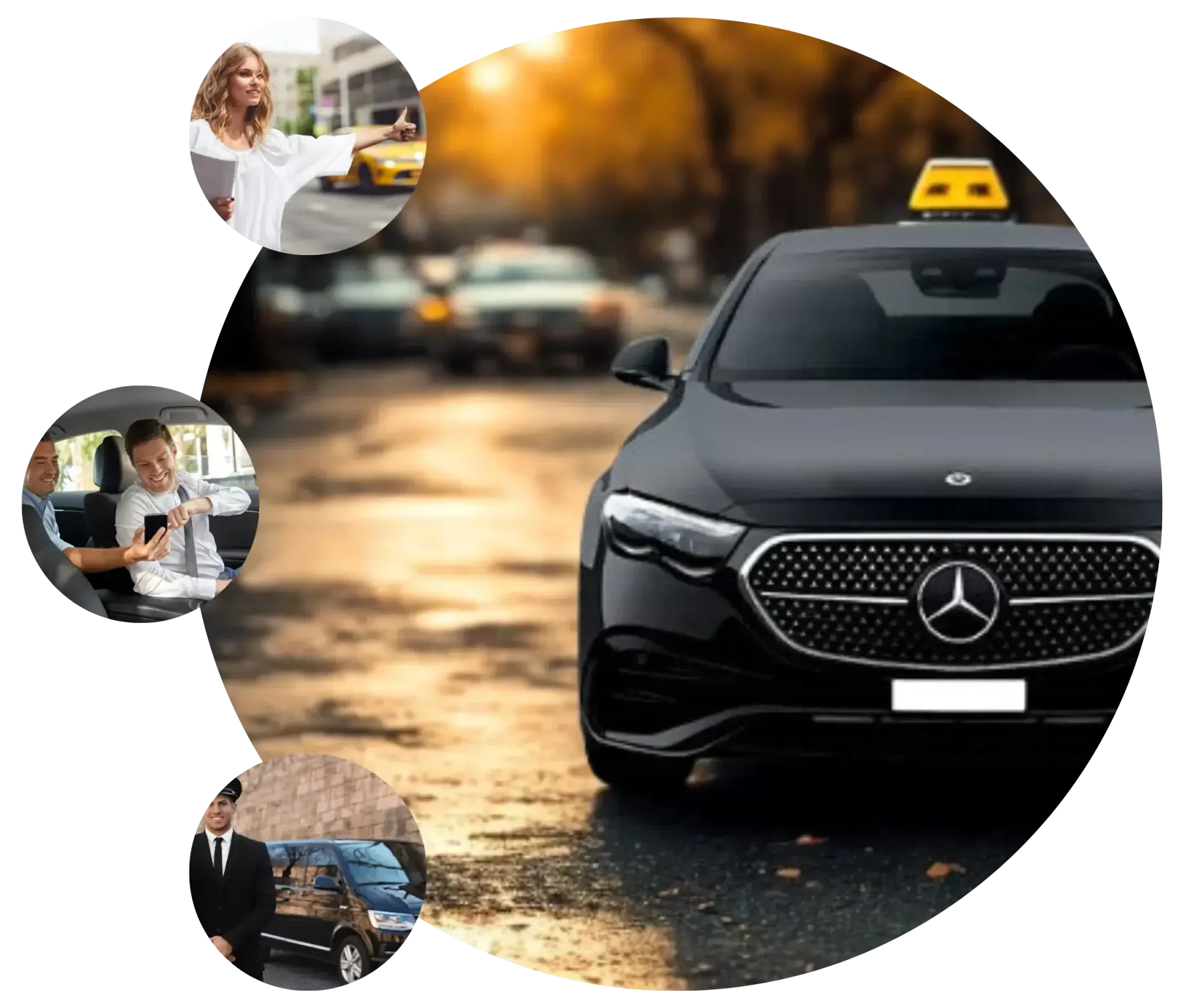 Comfortable Vehicles for Every Journey